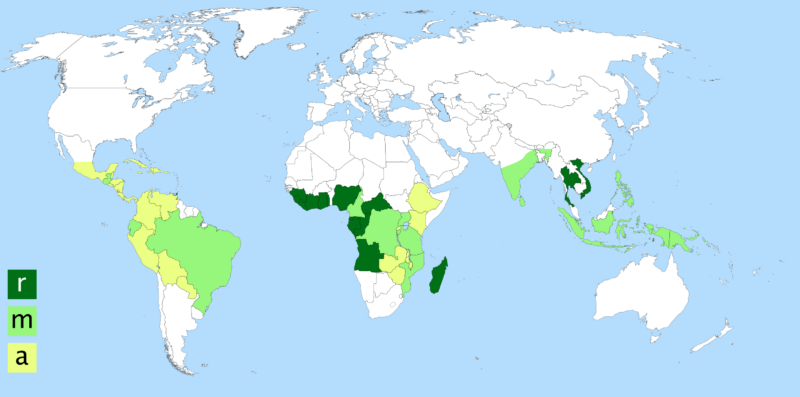 Bản đồ phân bố của cà phê Arabica và Robusta [r] khu vực trồng Robusta, [a] khu vực trồng Arabica, [m] canh tác cả hai loại