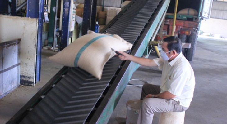 Xuất khẩu cà phê: Tập trung củng cố thị trường truyền thống