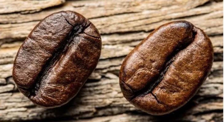 Phân biệt cà phê Arabica và Robusta